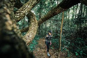 BIB: 
                            <button type="button" onclick="openModal(25394384)" class="btn btn-primary btn-sm float-right btn-popup" data-toggle="modal" data-target=".modal-high-quality">
                        <i class="fas fa-shopping-cart"></i> Add to Cart
                    </button>
                                            <button type="button" onclick="isThisMe(25394384, true)" class="btn btn-success btn-sm float-right btn-popup btn-isme hidden" data-toggle="tooltip" data-placement="bottom" title="นี่คือรูปของคุณใช่ไหม คลิกที่นี่เพื่อเอาเข้าอัลบั้ม">
                        <i class="fas fa-plus"></i> Add to album
                    </button>
                    <button type="button" onclick="isThisMe(25394384, false)" class="btn btn-warning btn-sm float-right btn-popup btn-isnotme hidden">
                        <i class="fas fa-ban"></i> Remove from album
                    </button>